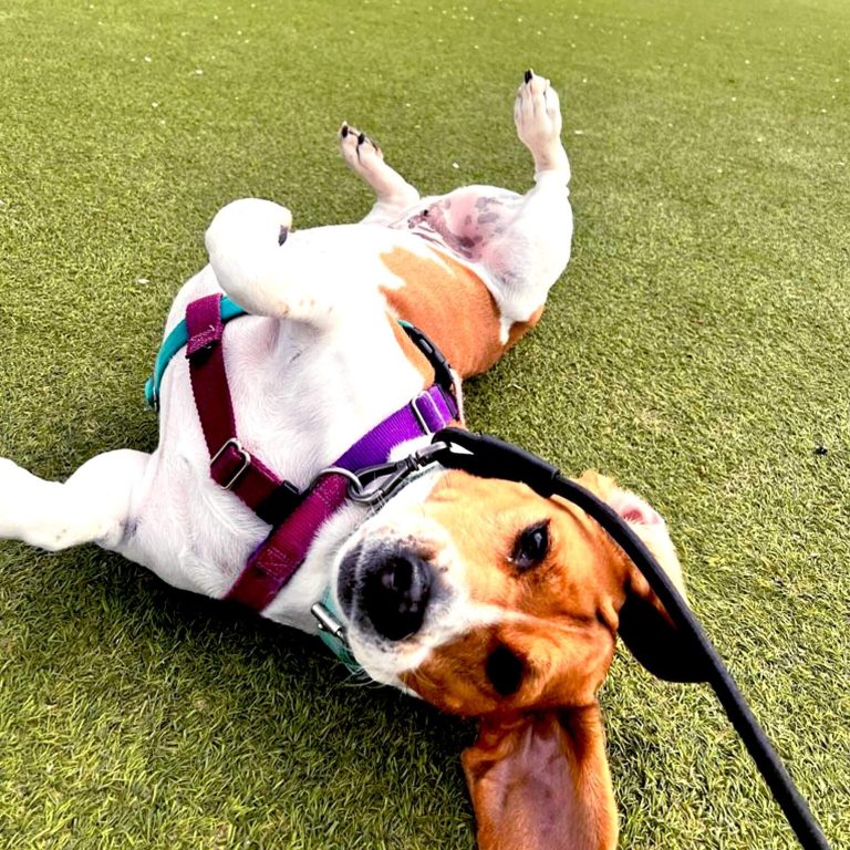 Sally!