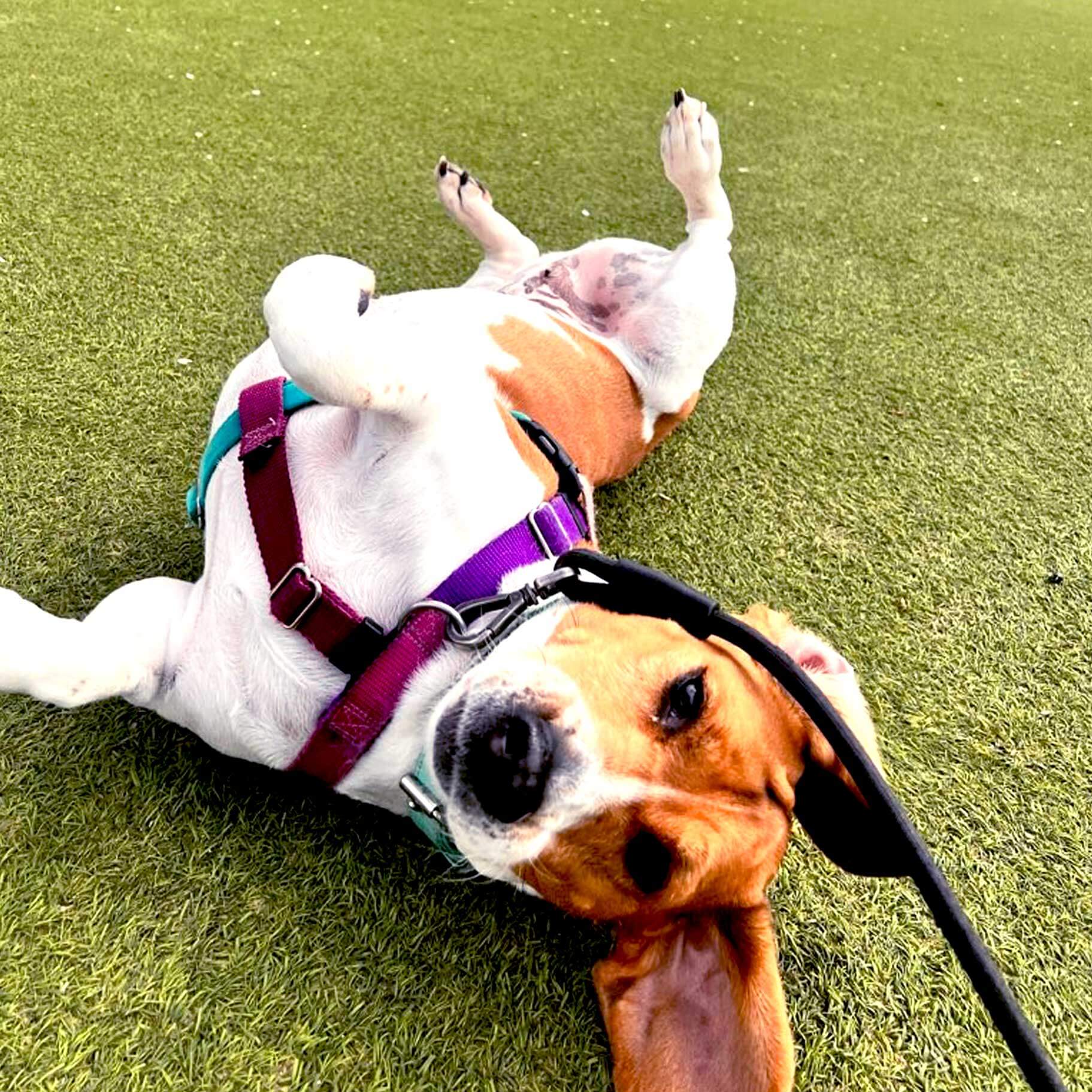Sally!